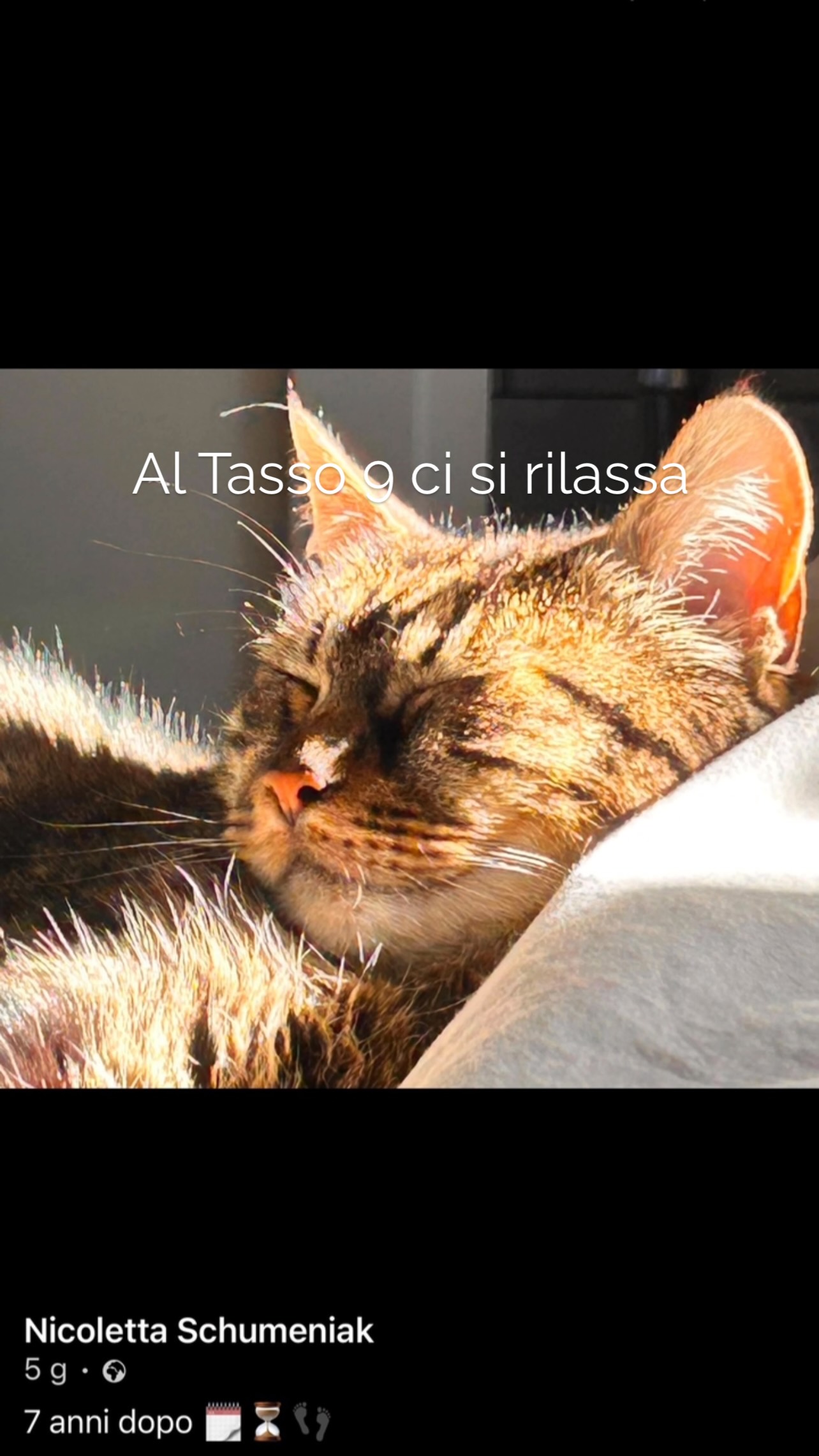 #toscana #maremma #relaxtime #boccheggiano #tasso9